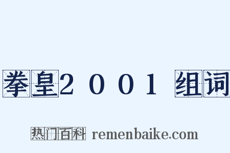 拳皇2001组词是什么意思的图片